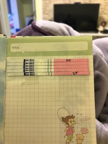 journal_insert_pic_972374492