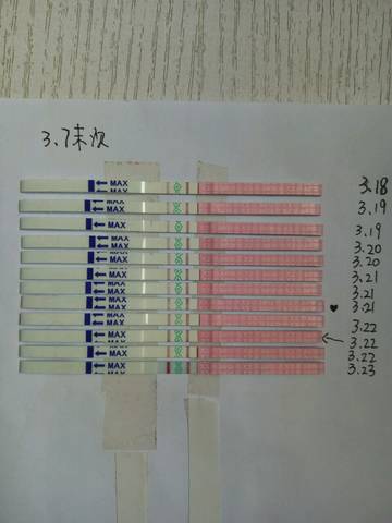 journal_insert_pic_973023717