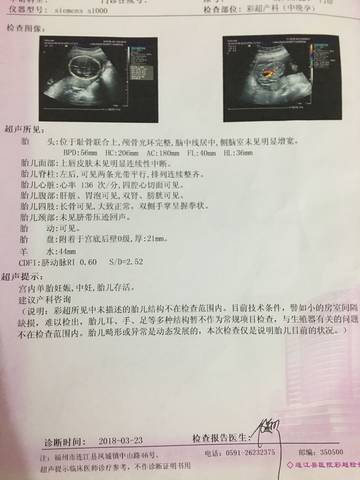 journal_insert_pic_973346618