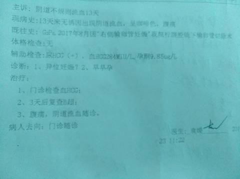 journal_insert_pic_973073347