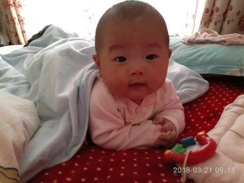 journal_insert_pic_974166606