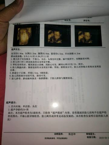 journal_insert_pic_973698443