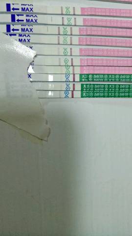 journal_insert_pic_973598603