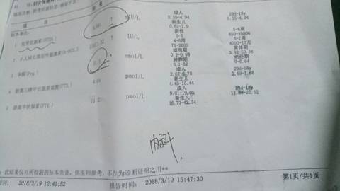 journal_insert_pic_974115267