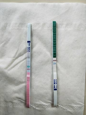 journal_insert_pic_974620593
