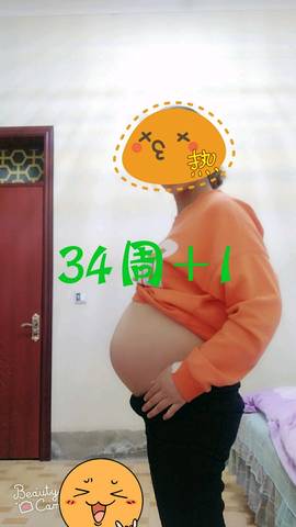 journal_insert_pic_974879892