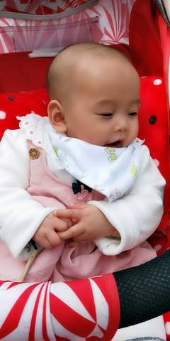 journal_insert_pic_975833975