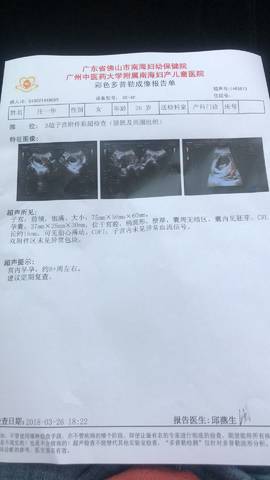 journal_insert_pic_975683389