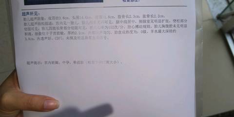 journal_insert_pic_975265418