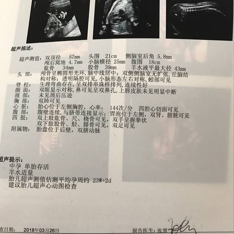 journal_insert_pic_975601420