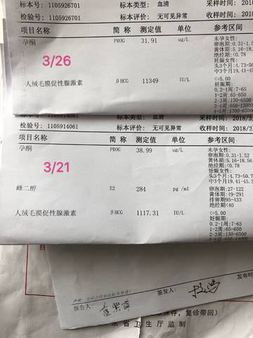 journal_insert_pic_975364079