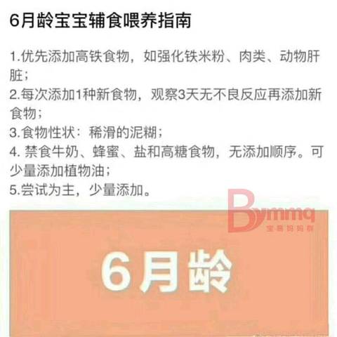 journal_insert_pic_976597516