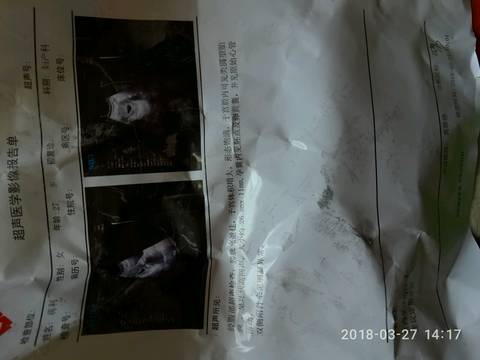 journal_insert_pic_976332331