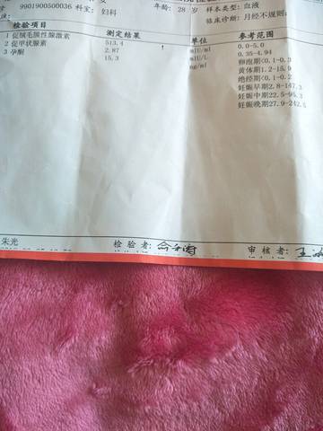 journal_insert_pic_976912290