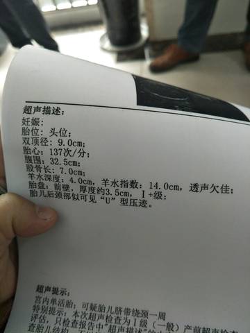 journal_insert_pic_978365580