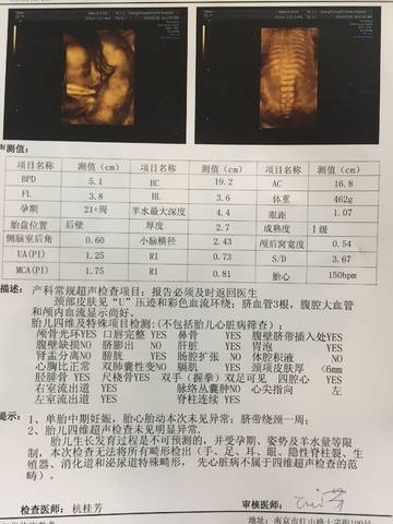 journal_insert_pic_978388645