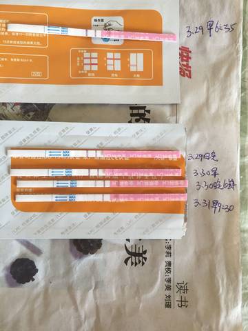 journal_insert_pic_979052167