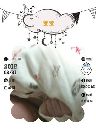 journal_insert_pic_978939371
