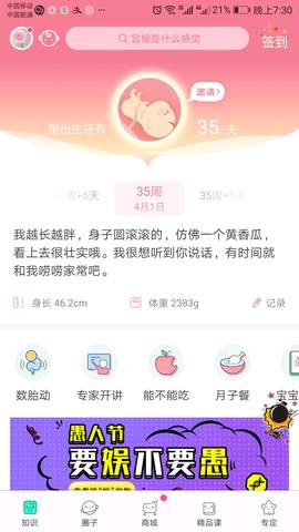 journal_insert_pic_980190055