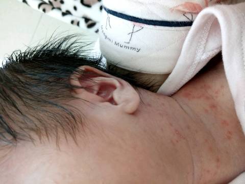 journal_insert_pic_979905984