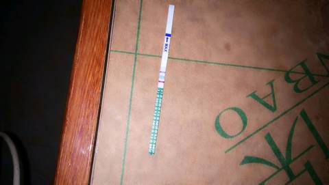 journal_insert_pic_980549781