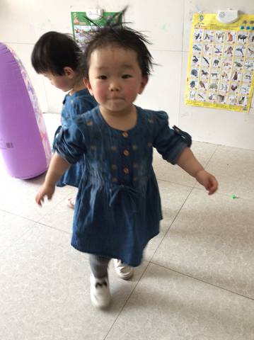 journal_insert_pic_981655602