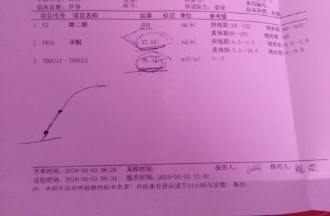journal_insert_pic_981606591