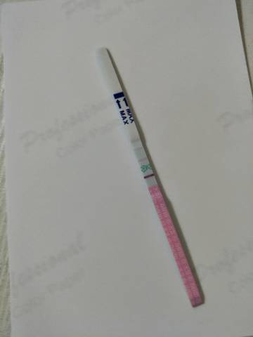 journal_insert_pic_981816242