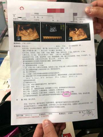 journal_insert_pic_981769319