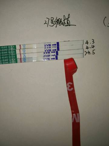 journal_insert_pic_983053945