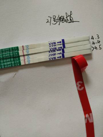 journal_insert_pic_983053939
