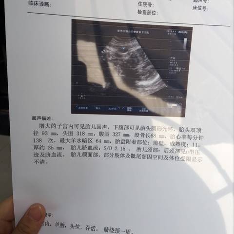 journal_insert_pic_983532400