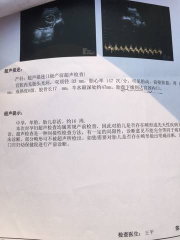 journal_insert_pic_984544439