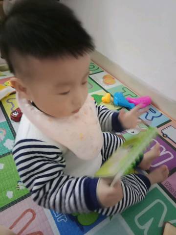 journal_insert_pic_985627380