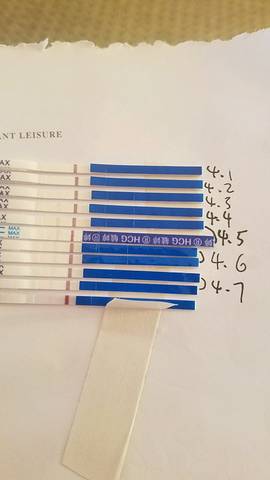 journal_insert_pic_985774102