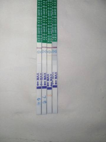 journal_insert_pic_985763191