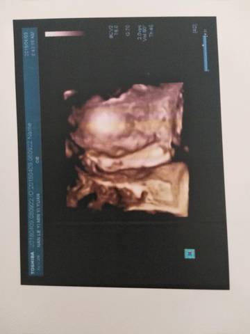 journal_insert_pic_985803649