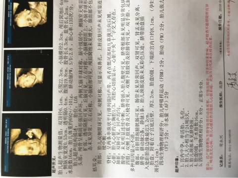 journal_insert_pic_986405223