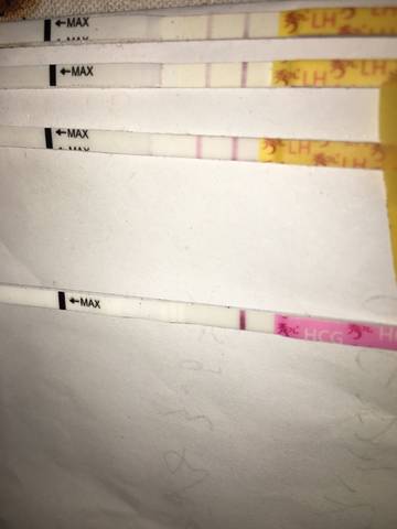 journal_insert_pic_986469391