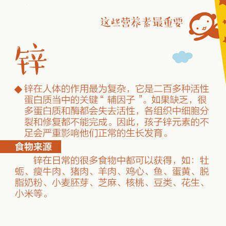 journal_insert_pic_987040121