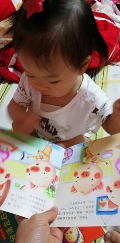 journal_insert_pic_986499390