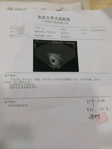 journal_insert_pic_987362072