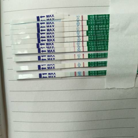 journal_insert_pic_988016549