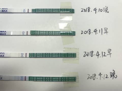 journal_insert_pic_988337154
