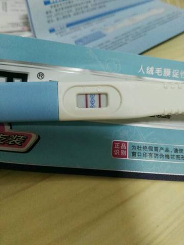 journal_insert_pic_988651830