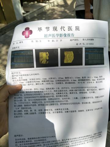 journal_insert_pic_988604952