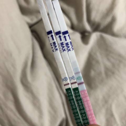 journal_insert_pic_989241390