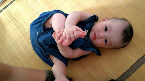 journal_insert_pic_989616071