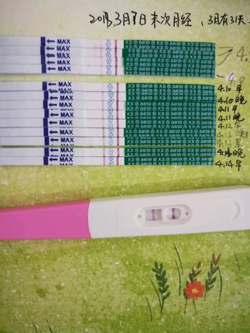 journal_insert_pic_989469514