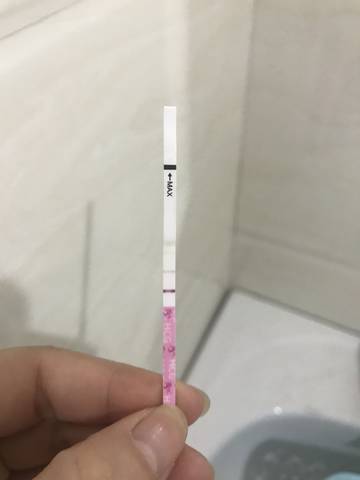 journal_insert_pic_989715260